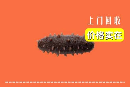 巴马县回收海参