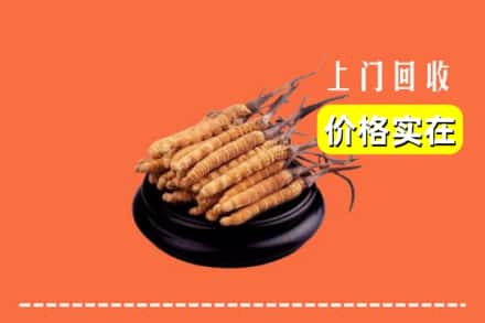 巴马县回收冬虫夏草