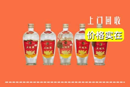 诚信求购:巴马县高价回收老五粮液